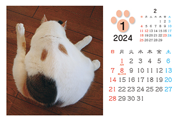 ネコカレンダー
