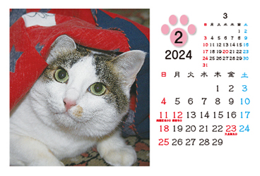 猫カレンダー